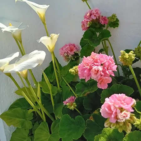 Dom wakacyjny Maison Cosy Vue Sur La Rade Tourlaville