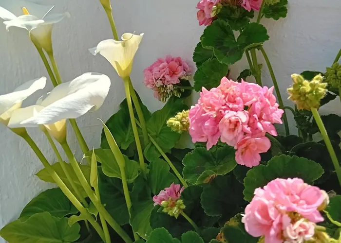 Prázdninový dům Maison Cosy Vue Sur La Rade Tourlaville